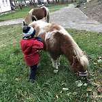 Haus Wilma Gruene Idylle Im Wald Direkt Am *