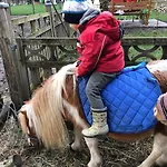 Haus Wilma Gruene Idylle Im Wald Direkt Am Nyaraló *