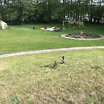 Haus Wilma Gruene Idylle Im Wald Direkt Am *