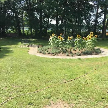 Haus Wilma Gruene Idylle Im Wald Direkt Am *