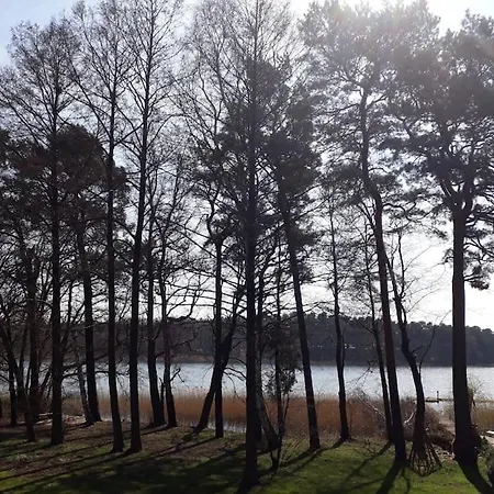Nyaraló Haus Wilma Gruene Idylle Im Wald Direkt Am