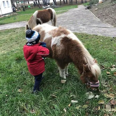 Haus Wilma Gruene Idylle Im Wald Direkt Am *