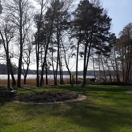 Haus Wilma Gruene Idylle Im Wald Direkt Am Nyaraló