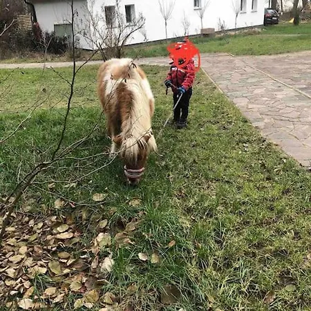Haus Wilma Gruene Idylle Im Wald Direkt Am Prázdninový dům