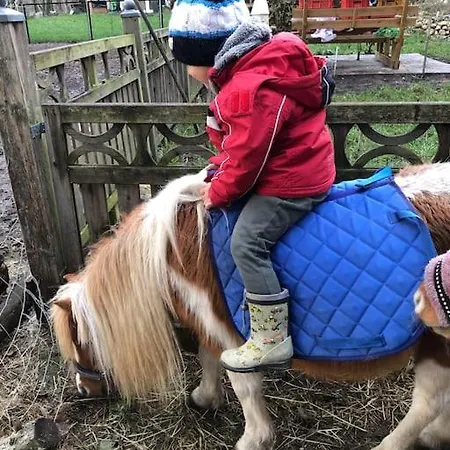 Haus Wilma Gruene Idylle Im Wald Direkt Am Prázdninový dům *